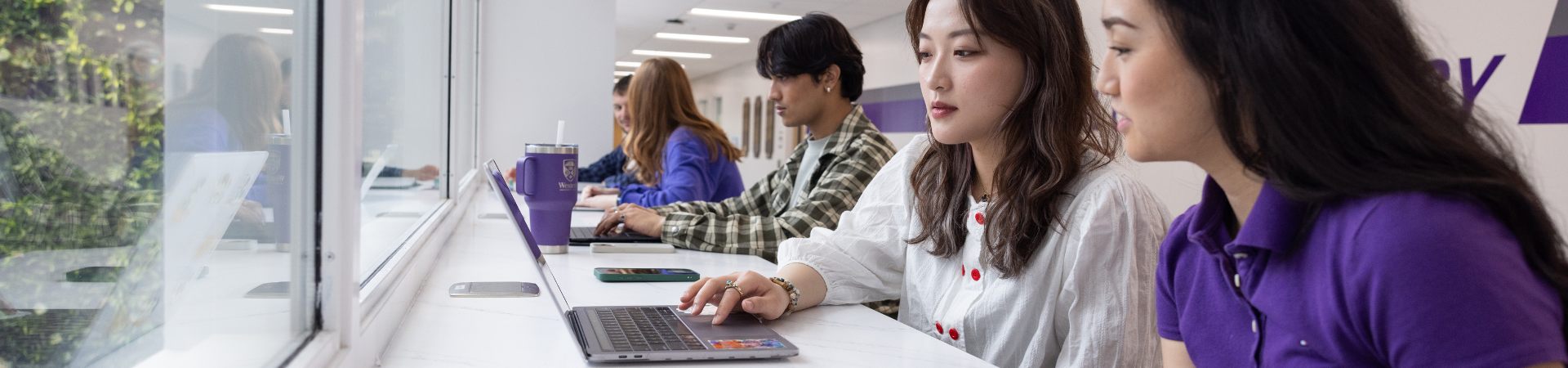 Several students use laptops in a row.